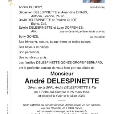 André DELESPINETTE